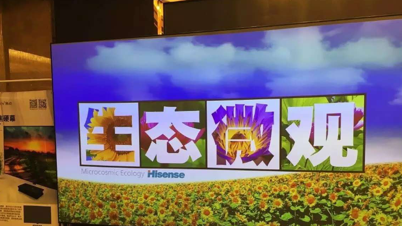 激光电视投电动幕效果好吗？【南京东宇音响】